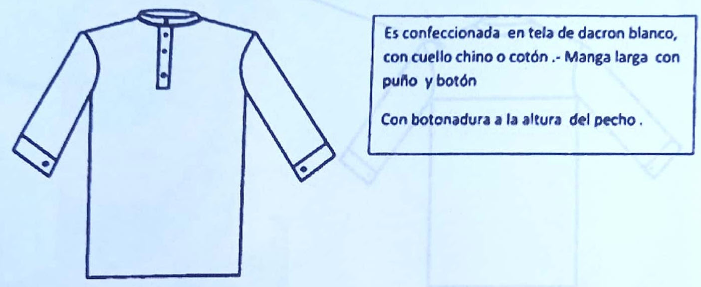 Camisa